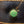 tack button