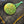 Green button with a logo on a denim fabric background