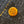 Gold coin with a design on a black denim background