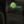 Left Field Button