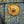 A close-up of a gold-toned button with a decorative floral center, sewn onto blue denim fabric with yellow contrast stitching.